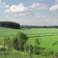 Вблизи деревни Юльтакюля (Yltäkylä) :: Александр Ильчевский 