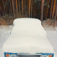 Снеговик.. :: Василий 