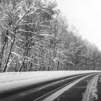 зимняя дорога (Ч/Б) :: Андрей Андросов