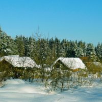 Русская зимушка :: Ольга 