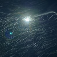 ... :: Жора Житников