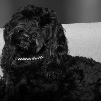 Туча проснулась :: Светлана 