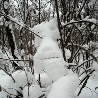 Из жизни снежариков...:-) :: Андрей Заломленков