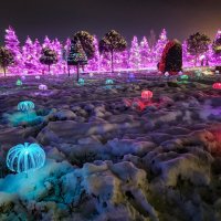 парк Галицкого :: Ольга Косачова