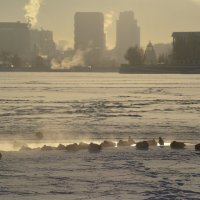 Зимний сон :: Сергей Сергеев