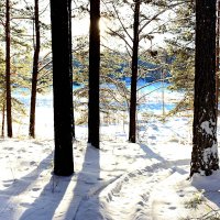 *** :: Александр 