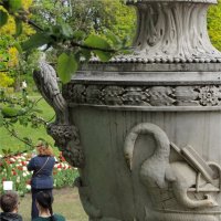 летнее изобилие :: sv.kaschuk 