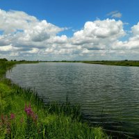 ИЮЛЬ. ДЕРЕВЕНСКИЙ  ПРУД. :: Галина 