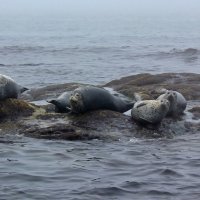 Небольшая площадь :: Владимир Соколов (svladmir)