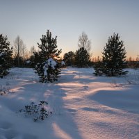 скользит по снегу закатный луч :: сергей 