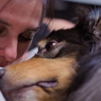 Любимчик :: Артём 