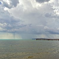 эти летние дожди... :: Всеволод 