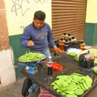 Подходим, не стесняемся! Кактусы покупаем! :: unix (Илья Утропов)