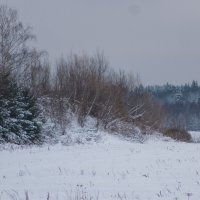 Зимний лесной край :: fogmeadowww m