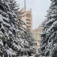 Зимы чудесные мгновенья :: Татьяна Машошина