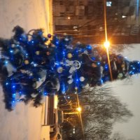 Ёлка :: Сапсан 