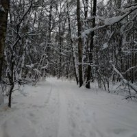 Сезон нецветной фотографии продолжается :: Андрей Лукьянов