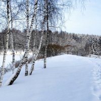 Зима в январе. :: Милешкин Владимир Алексеевич 