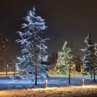 Парк Галицкого, Краснодар. :: Екатерина Леш