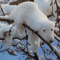 Отдыхает :: Людмила Смородинская