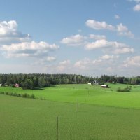 Вблизи хутора Йокила (Jokila) :: Александр Ильчевский 