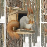 какие ухи) :: Лера 