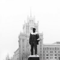 Вертикали :: Игорь Шевченко