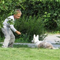 Поиграй со мной :: Лариса С.