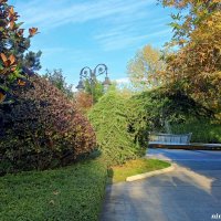 Адлер. Сочи Парк... :: Нина Бутко