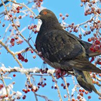 *   *   * :: Уже не важно 