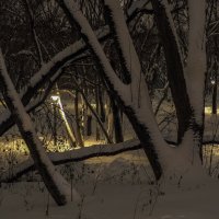 Вечер :: юрий поляков