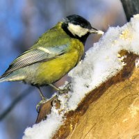 *   *   * :: Уже не важно 