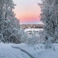 Ухта, вид из тайги с высокого берега реки Ухта. Бывший лыжный спуск :: Николай Зиновьев