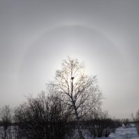 Гало :: Anna Ivanova