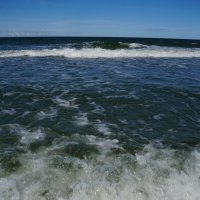 ~~~ :: Алёна Савина