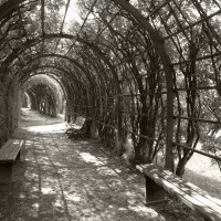 В парке :: Наталья 