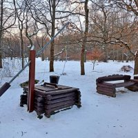 Из зимних прогулок. :: Лия ☼