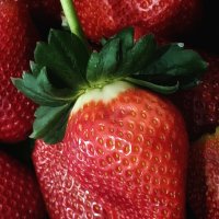 Клубника. :: Argaman Табашник