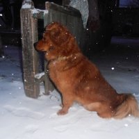 Ночной дозор :: Наталья 