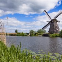 Голландский пейзаж :: Валерий Готлиб