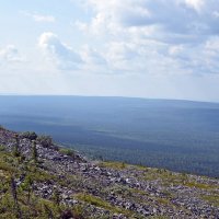 Склон и тайга... :: ВикТор Быстров