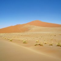 В намибийской пустыне. :: unix (Илья Утропов)