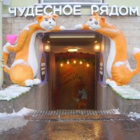 Человеку нужен КОТ :: zavitok *