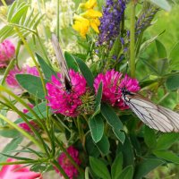 Капелька тепла в зимнюю стужу :: Любовь Сахарова