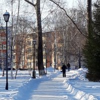 Зима :: Венера Чуйкова