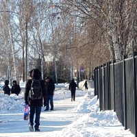 Зима :: Венера Чуйкова