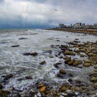 Ьерег :: Анатолий Чикчирный