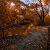 Дорожка. :: Владимир Владимир