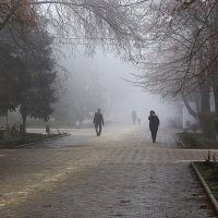 Туманный день :: Юрий Гайворонскiий