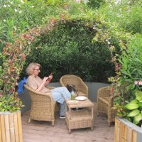 Летнее зелёное кафе :: Дмитрий Никитин